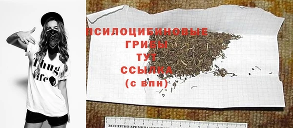 дмт Абаза