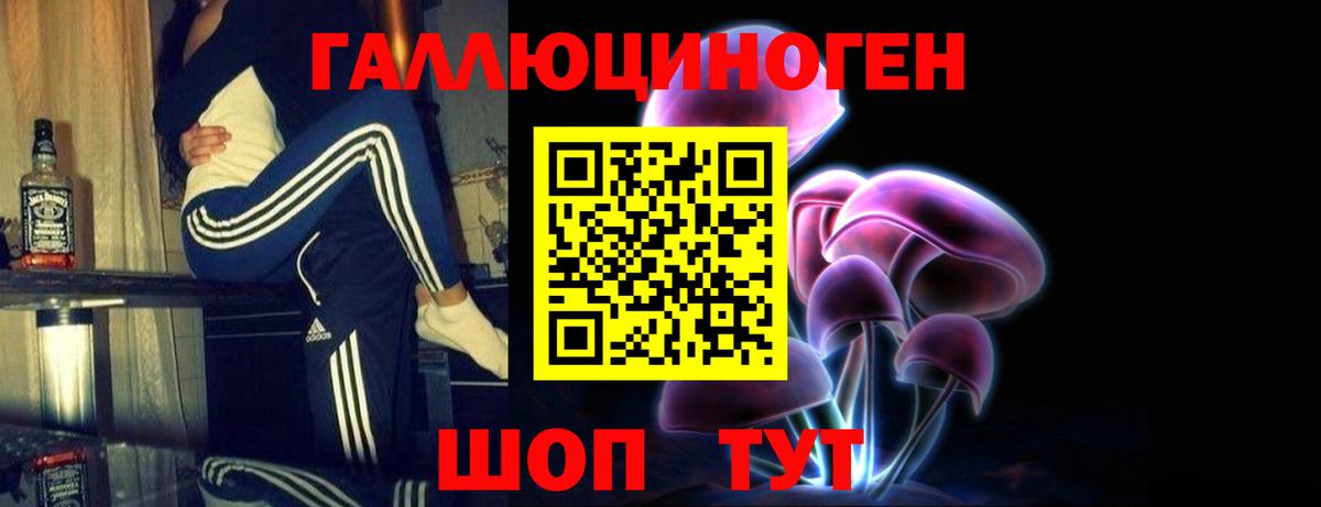 Псилоцибиновые грибы MAGIC MUSHROOMS  Галлюциногенные грибы ЛСД  Грозный  где купить   Вход с VPN 